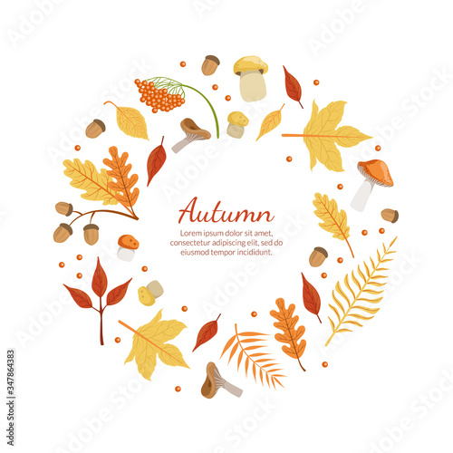 Autumn Banner Template with Colorful Leaves of Round Shape with Space for Text  Fall Season Shopping Promotional Leaflet  Flyer  Invitation Card  Advertising Vector Illustration