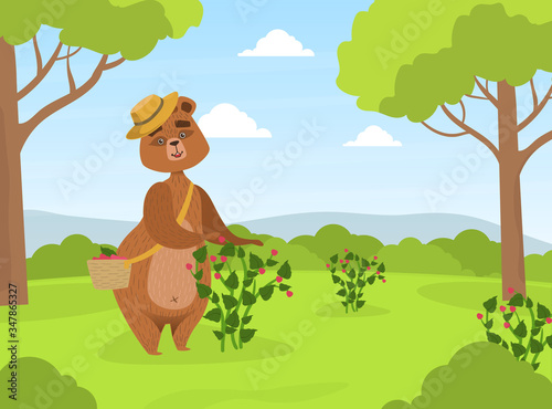 Cute Brown Bear in Straw Hat Collecting Raspberries from Bush into Wicker Basket on Summer Landscape Vector Illustration