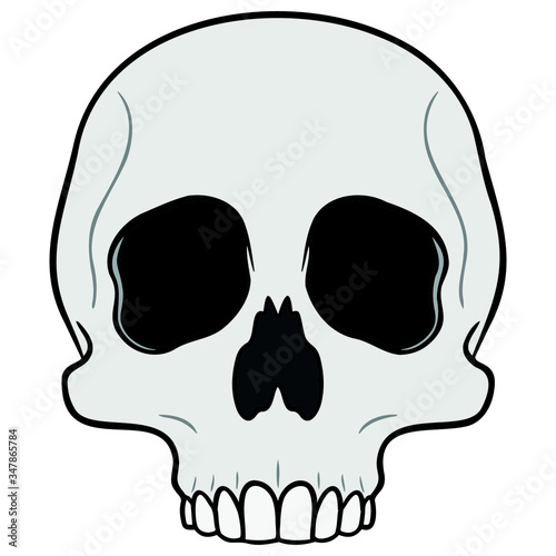gray skull without jaws. white background, isolated, cartoon, vector drawing.