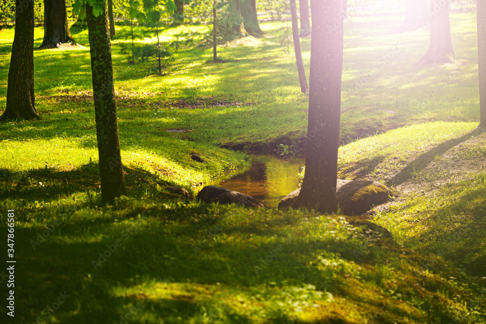 Small creek in the park with water flowing in spring forest Small creek in the park with water flowing in spring forest