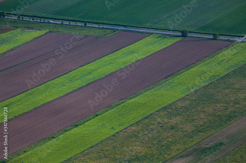 Abstract Composition Fields From Above5