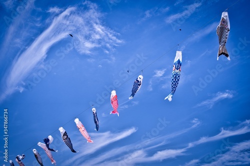 Koinobori kites- traditional festival decoration for Children's Day during the Golden Week in Japan. Carp-shaped windsocks flying in the blue sky on a sunny day.
