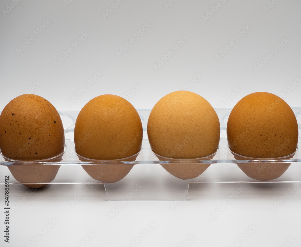 Raw eggs are put on the plastic rack waiting to place to the fridge with white background Raw eggs are put on the plastic rack waiting to place to the fridge with white background