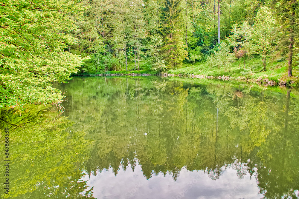The Stillensteinklamm near Grein in Upper Austria The Stillensteinklamm near Grein in Upper Austria
