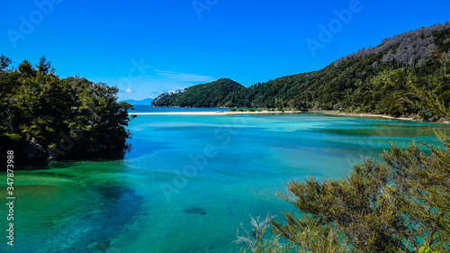 Colorful Bark Bay on the high tide crossing track, Abel Tasman Coast Track, Abel Tasman N.P, Tasman, South Island, New Zealand © GUILLAUME