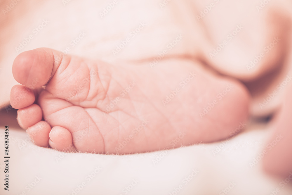 Cute newborn baby legs on a light blanket. Sleeping baby on a light background. Closeup newborn legs. Baby goods packing template. Medical and healthy concept. Cute newborn baby legs on a light blanket. Sleeping baby on a light background. Closeup newborn legs. Baby goods packing template. Medical and healthy concept.