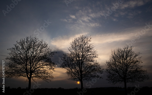 Three silhouette trees without leaves with cloudy sky background during early spring in south London park.