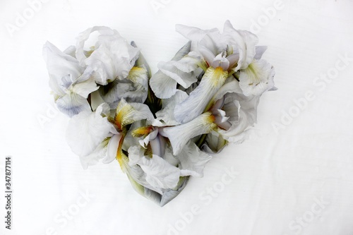 Heart made of white fresh flowers isolated. Heart symbol made of  iris flowers isolated on white background. Love concept for Valentine's and Mother's Day.  Floral Heart Shape.  © Tatyana