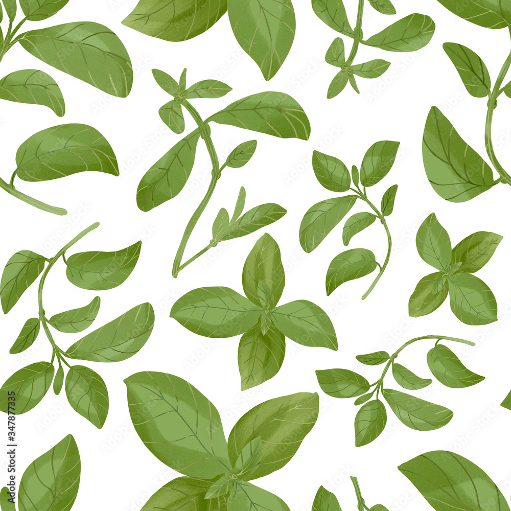 Digital watercolor seamless herbal pattern on white background. Fresh green basil branches. Italian mediterranean cuisine herb. For any surface, textile, tableware, wallpaper, food packaging design