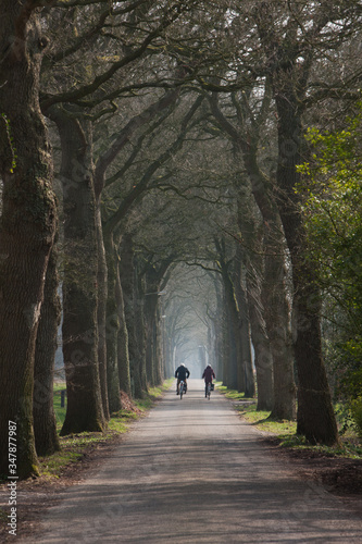 Cyclists at Lane near Willemsoord. Westvierdeparten. Willemsoord. Maatschappij van Weldadigheid Netherlands.