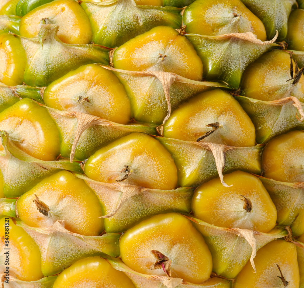Peel of pineapples yellow color.texture abstract.Ripe yellow pineapple skin texture.yellow fruit peel.Tropical fruit Peel of pineapples yellow color.texture abstract.Ripe yellow pineapple skin texture.yellow fruit peel.Tropical fruit