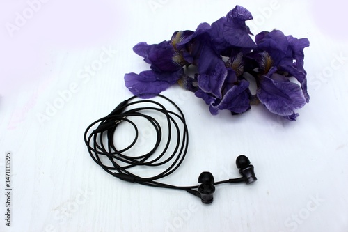 Black headphones isolated on white, in the background flowers. Black earphone on a background of blue iris flowers isolated on white. Side view, copyspace