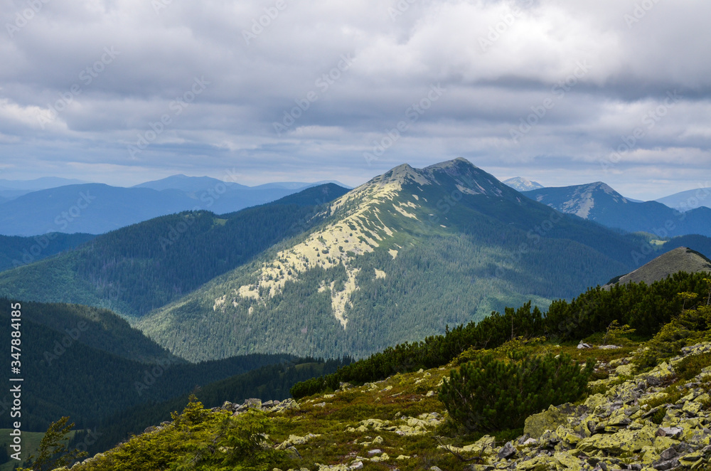 The nice view to mountain peaks and ranges Gorgany ridge, forested slopes, placer of stones, mountain pasture and sky with clouds. Dovbushanka mount on the foreground. Trekking in the mountains