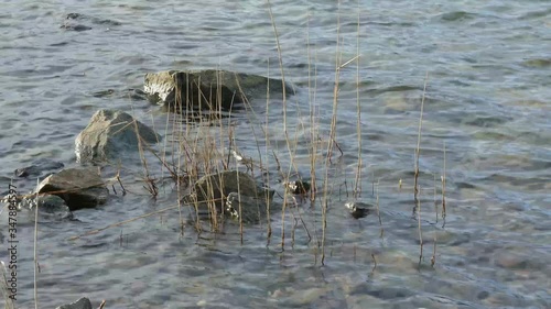 water surface with water waves background texture