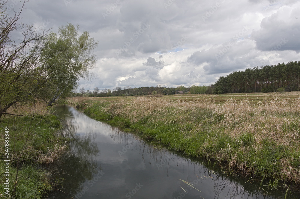 landscape with river