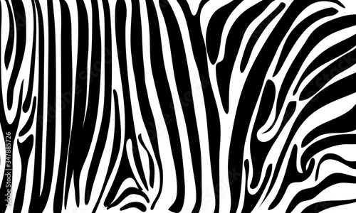zebra skin pattern print pattern vector graphics zebra Skin Background Graphics for Fabric, background, paper
