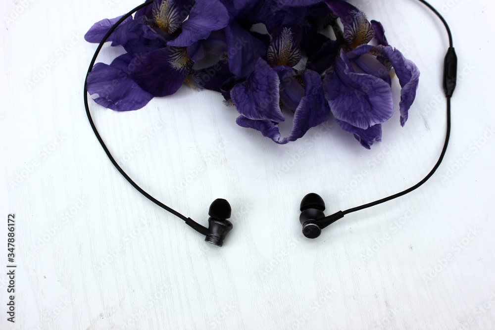 Black headphones isolated on white, in the background flowers. Black earphone on a background of blue iris flowers isolated on white. Side view, copyspace