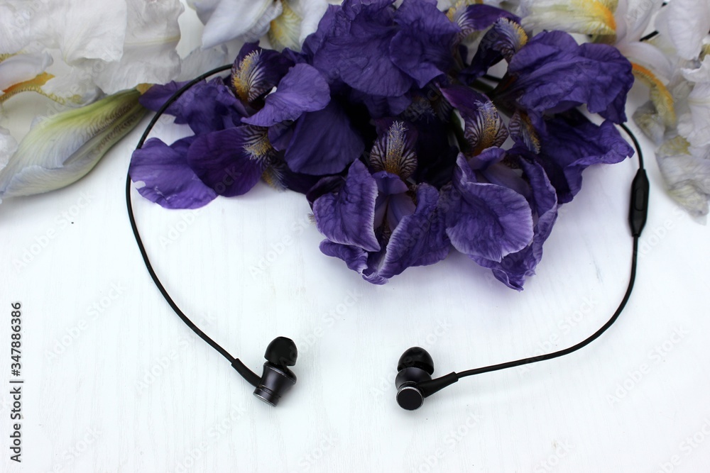 Black headphones isolated on white, in the background flowers. Black earphone on a background of blue iris flowers isolated on white. Side view, copyspace