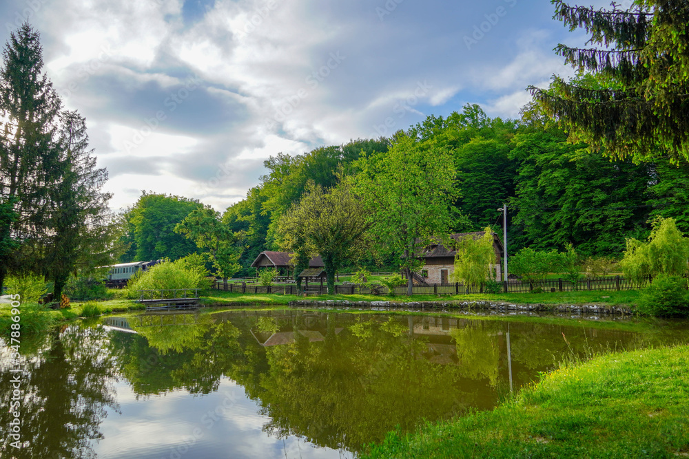 Spring landscape of a forest lake. Panorama of spring forest lake. View of the shore of a forest lake

