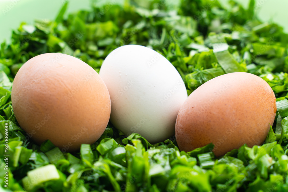 egg on the background finely chopped green onion dill parsley egg on the background finely chopped green onion dill parsley