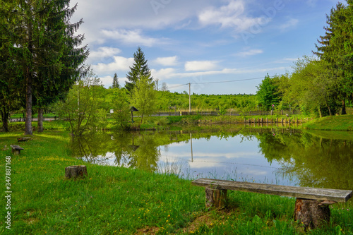 Spring view of a forest lake on a sky background 