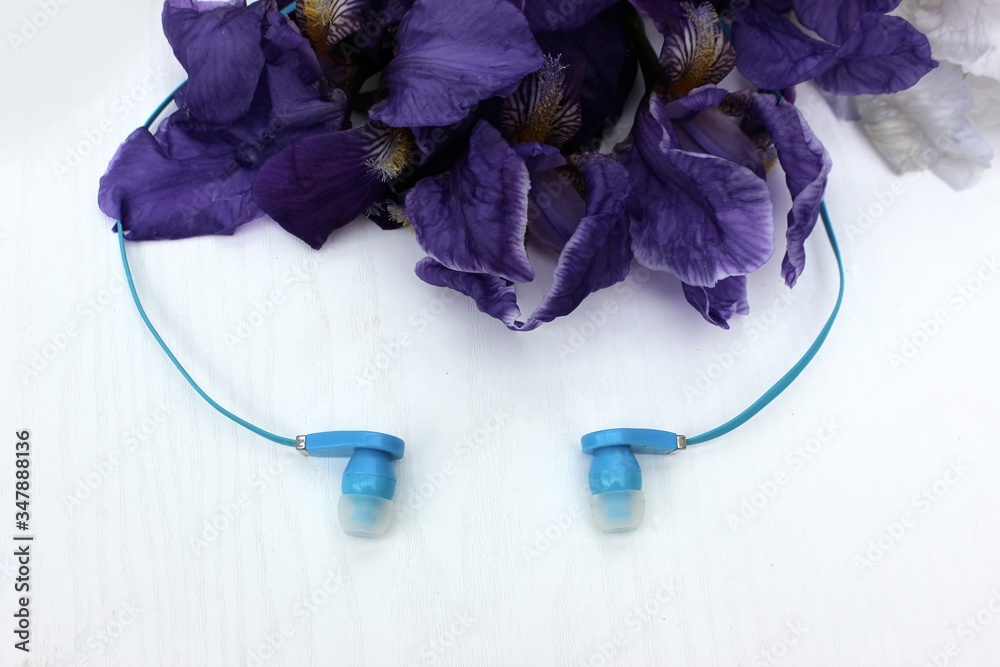 Blue headphones isolated on white, in the background flowers. Blue earphone on a background of blue iris flowers isolated on white. Side view, copyspace