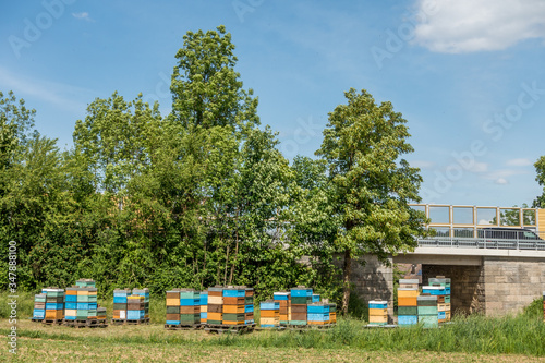 Bienenkästen im Frühjahr © focus finder