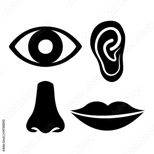 eye, ear, nose, mouth, lips icon vector