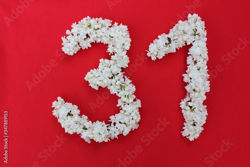 Obraz na płótnie The number 31 is written in white lilac flowers on a red background. The number thirty-one is written in fresh flowers, isolated on red. Arabic numeral lined with flowers w salonie