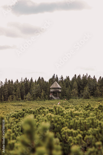 Slovenian Alps, Rogla, Pohorje, vacation