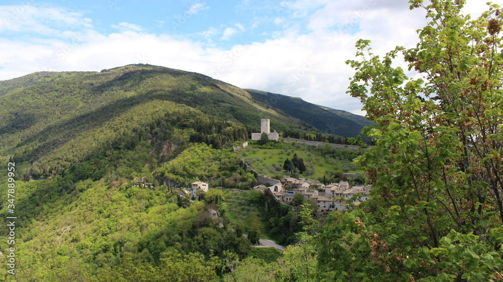 Monte Monte