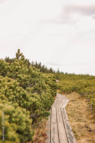 Slovenian Alps, Pohorje, Rogla, Holidays