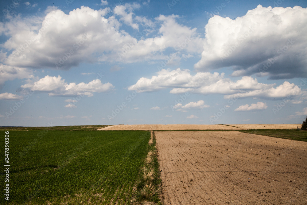 Fototapeta premium field and clouds