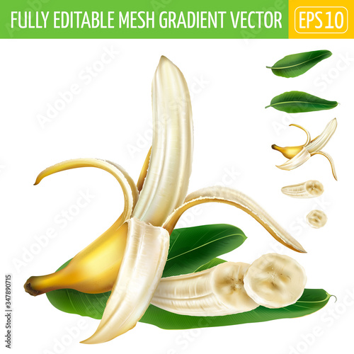 Composition of half-peeled banana and sliced banana with green leaves.