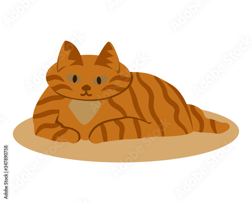 Fototapeta Naklejka Na Ścianę i Meble -  Ginger fat tabby cat is lying on the rug. Vector illustration