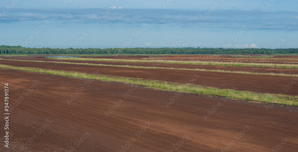 Torf Abbaufläche in einer Moorlandschaft im Himmelsmoor bei Hamburg