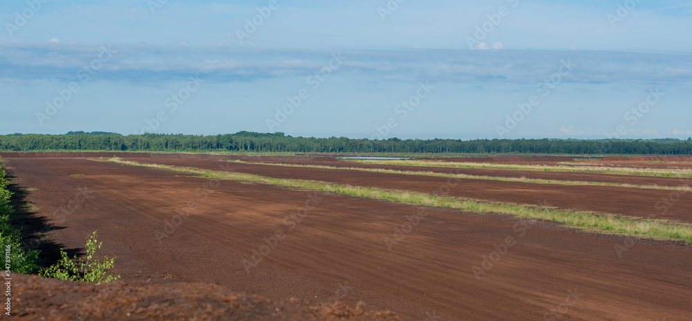 Torf Abbaufläche in einer Moorlandschaft im Himmelsmoor bei Hamburg