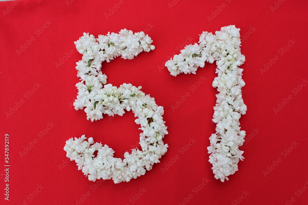 The number 51 is written in white lilac flowers on a red background. The number fifty one is written in fresh flowers, isolated on red. Arabic numeral lined with flowers.
