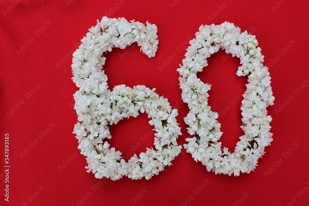 The number 60 is written in white lilac flowers on a red background. The number sixty is written in fresh flowers, isolated on red. Arabic numeral lined with flowers.