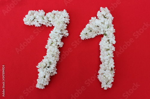 The number 71 is written in white lilac flowers on a red background. The number seventy one is written in fresh flowers, isolated on red. Arabic numeral lined with flowers.