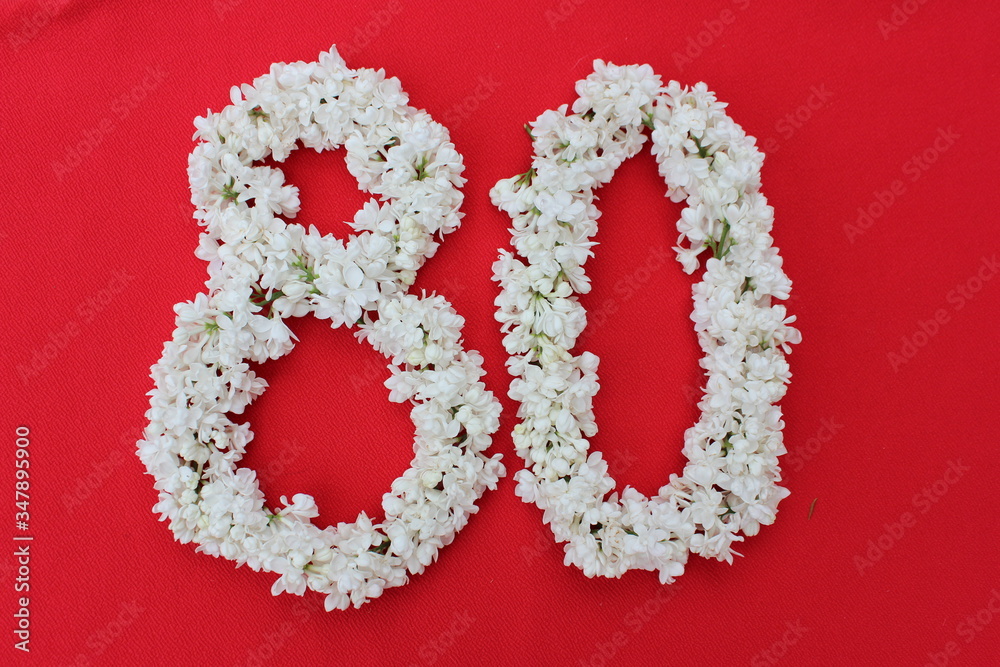 The number 80 is written in white lilac flowers on a red background. The number eighty is written in fresh flowers, isolated on red. Arabic numeral lined with flowers.