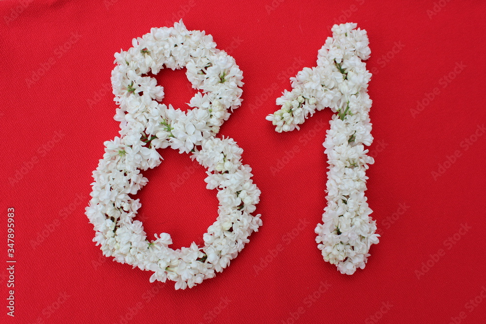 The number 81 is written in white lilac flowers on a red background. The number eighty one is written in fresh flowers, isolated on red. Arabic numeral lined with flowers.