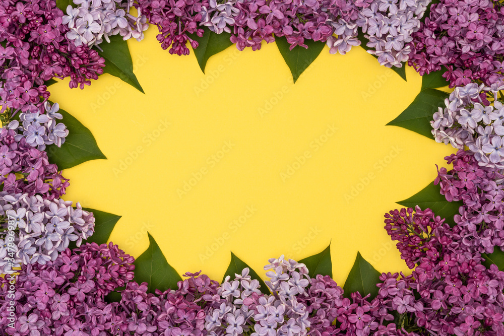 Decorative frame of lilac flowers and space for text. yellow background, flat lay. Space for text Decorative frame of lilac flowers and space for text. yellow background, flat lay. Space for text