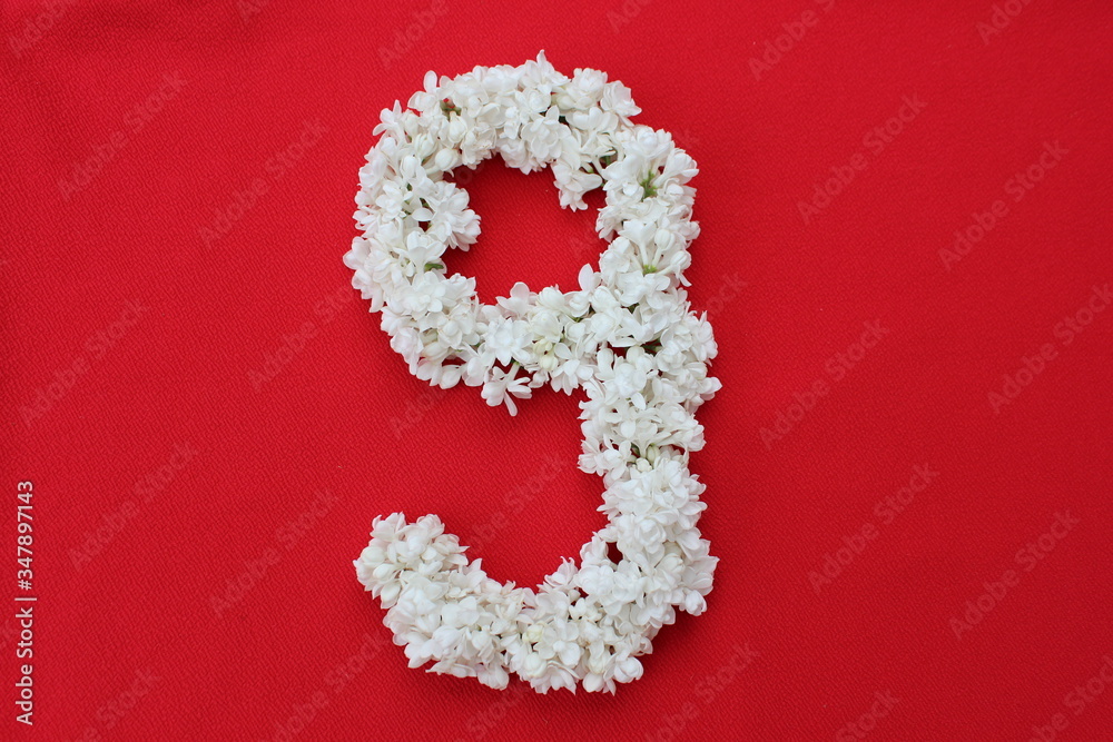 The number 9 is written in white lilac flowers on a red background. The number nine is written in fresh flowers, isolated on red. Arabic numeral lined with flowers.