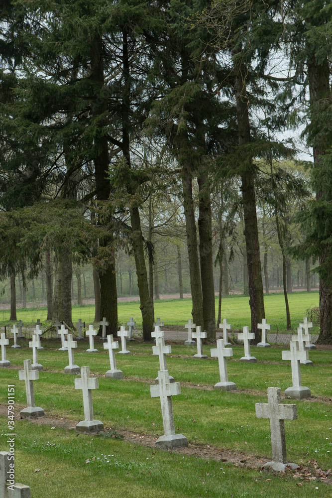 Cemetry. Graveyard at Merksplas Colony. Wortel Colony. Belgium. Thombstones.