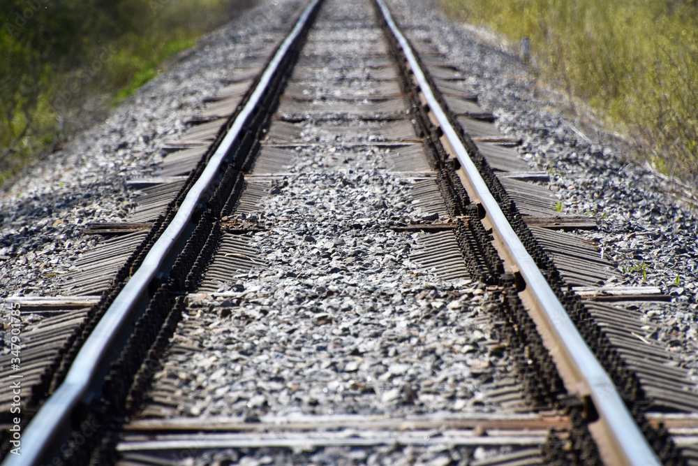 Between rails of a railroad in the forest with concrete sleepers. Between rails of a railroad in the forest with concrete sleepers.