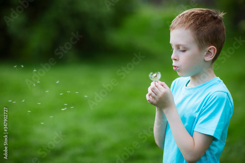 Boy in a blue T-shirt blows on a flowering dandelion and seeds fly around in  lush green flowering meadow