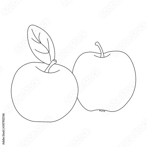 Apples. Rounded shape. One with a leaf. Children s coloring book. Vegetables. Vector contour graphics.