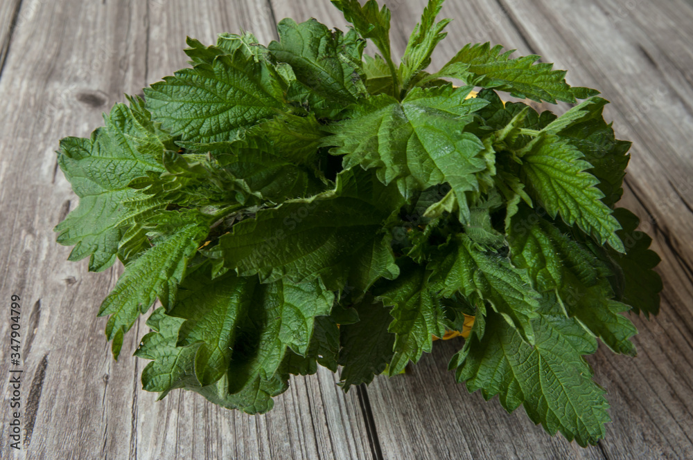 Fresh leaves of nettle dioecious close-up on a wooden background. Alternative medicine, medicinal herbs. Selective focus. Fresh leaves of nettle dioecious close-up on a wooden background. Alternative medicine, medicinal herbs. Selective focus.