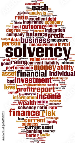 Solvency word cloud